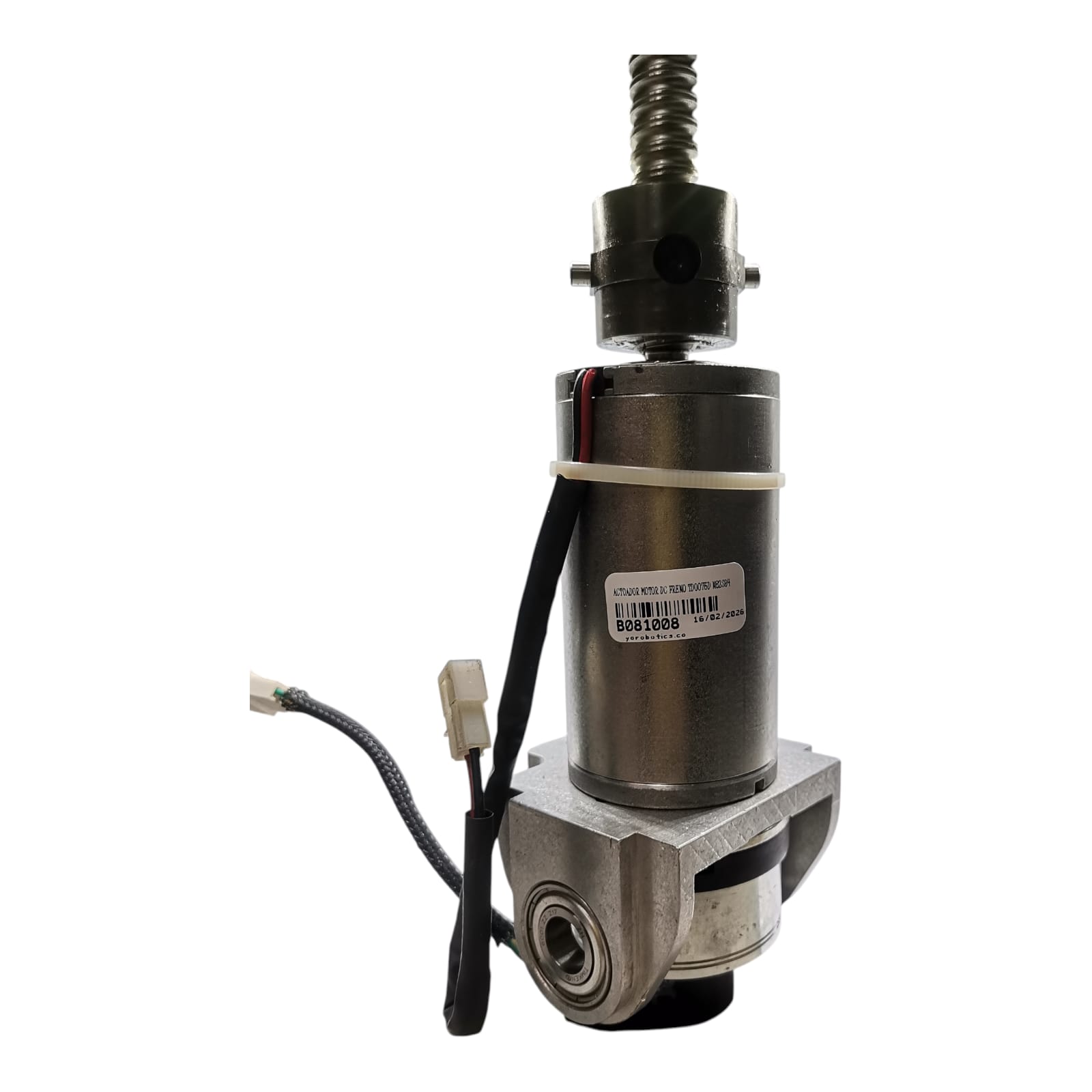 B081008 ACTUADOR MOTOR DC FRENO GR53X30 3700rpm TD0075D N82S94 (5)